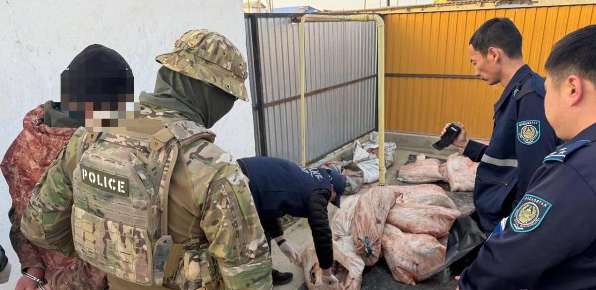 Более 4 тонн рыбы изъяли полицейские в Атырауской области