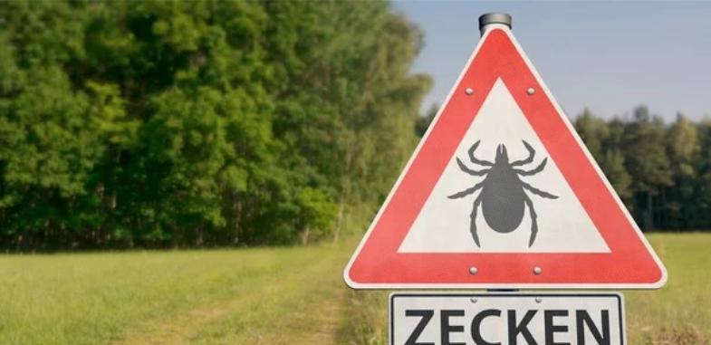В Казахстане растут случаи заражения клещевым энцефалитом