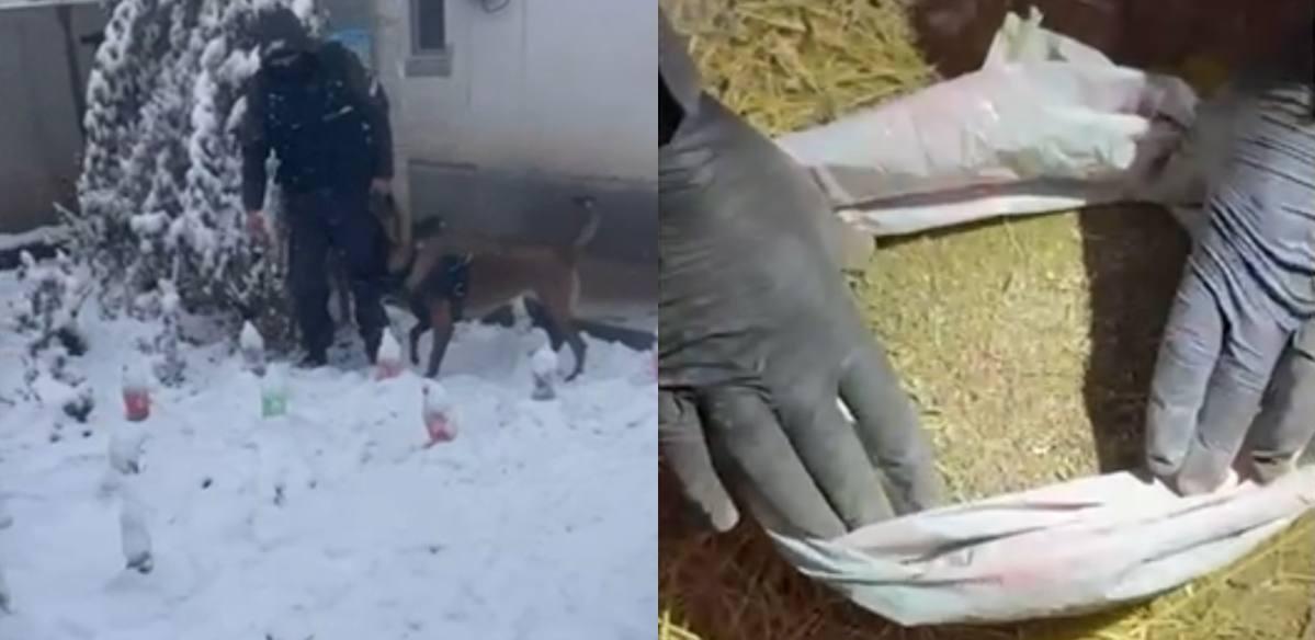 Крупную партию наркотиков изъяли в Алматы