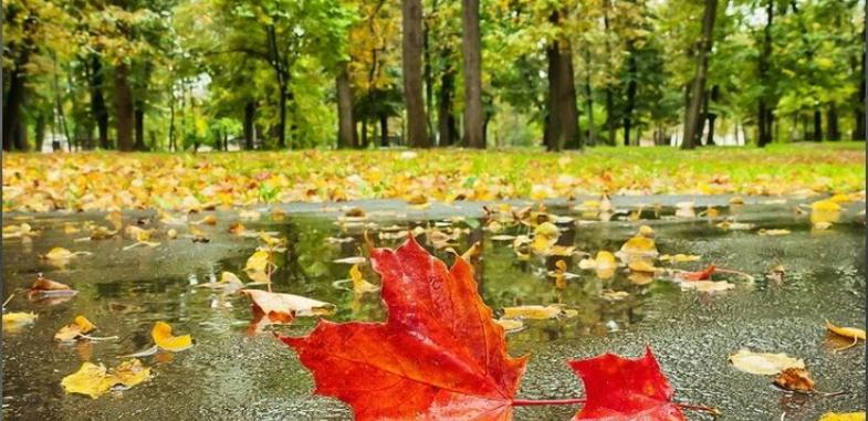 Северный циклон несёт в Казахстан осень