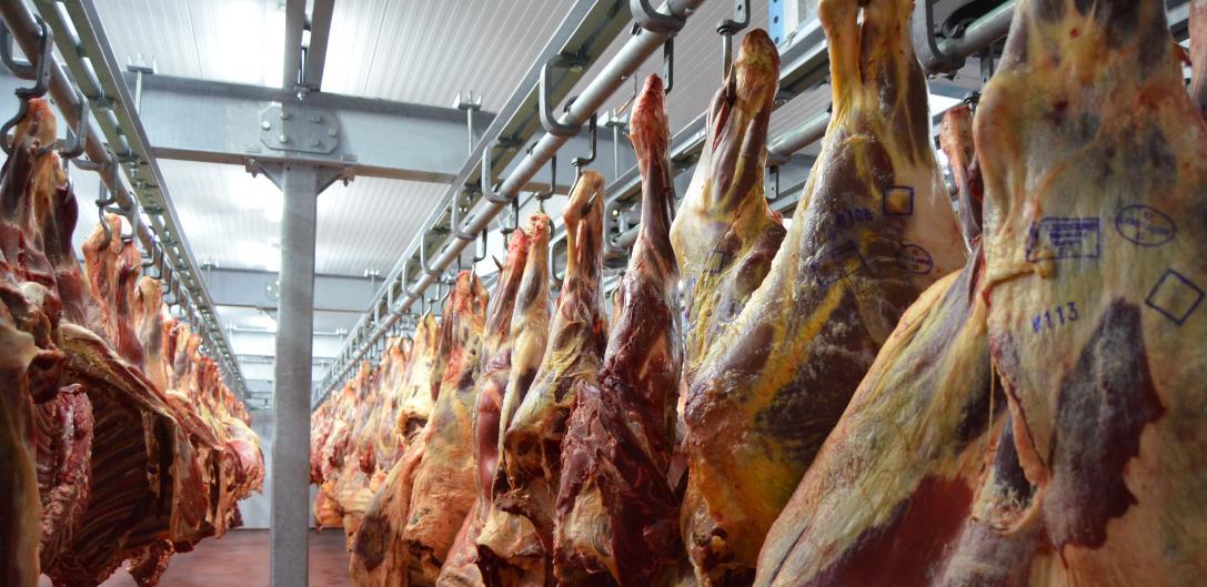 «Кублей» вложит $25 млн в развитие мясного производства 