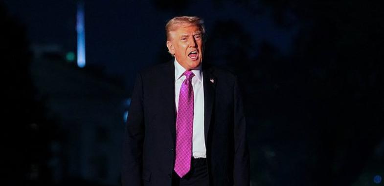 Трамп решил взяться за диалог Путина и Зеленского