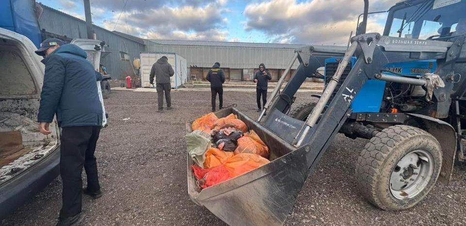В Астане пресечена деятельность подпольного мясного цеха