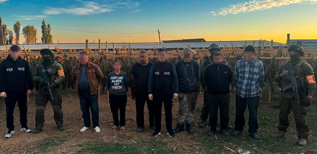 За месяц КНБ изъял в Казахстане более 620 кг наркотиков