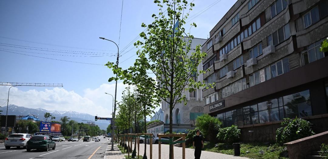 В Алматы создадут единый центр по озеленению и благоустройству