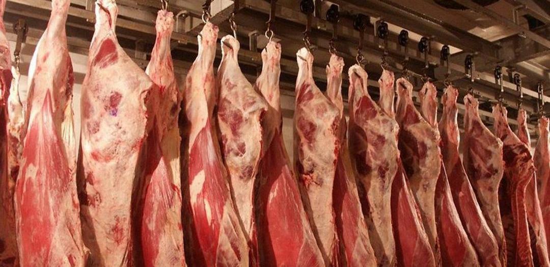 Квоты введут на экспорт говядины в Казахстане