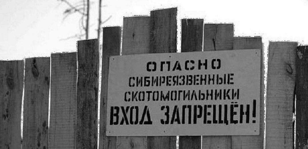 Захоронение сибирской язвы выявили в Алматинской области 
