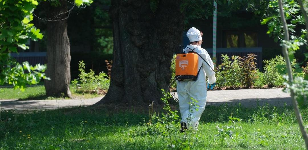 В Алматы начнется осенняя дератизация