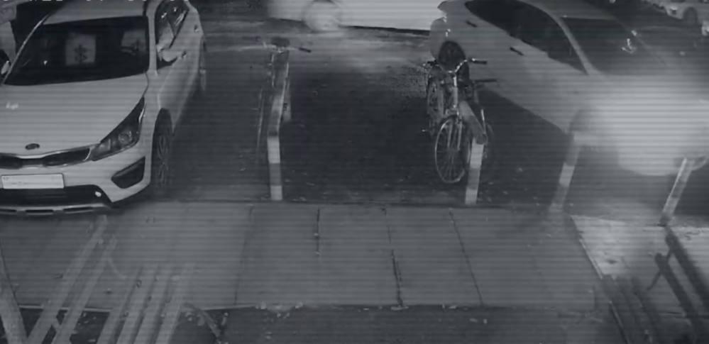 МВД опубликовало подробности дела Яны Легкодимовой