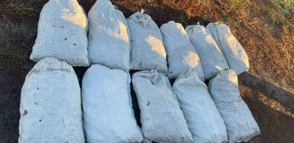 Крупную партию рыбы и раков изъяли у браконьеров в Уральске