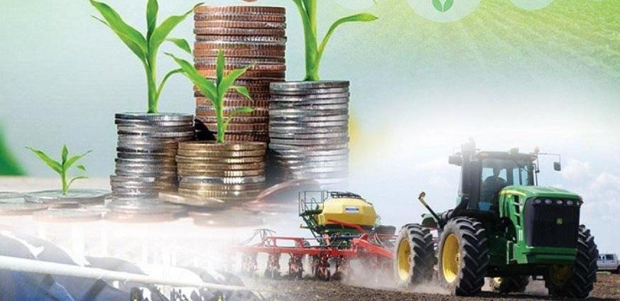 Объем валовой продукции сельского хозяйства достиг 3,6 трлн тенге