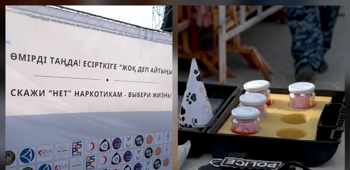 6 кг гашиша уничтожили в Павлодарской области (ВИДЕО)