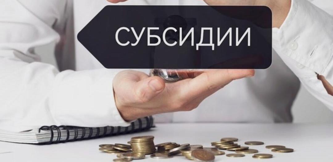 Более 38 млн тенге похитили на субсидиях для АПК в Жамбылской области