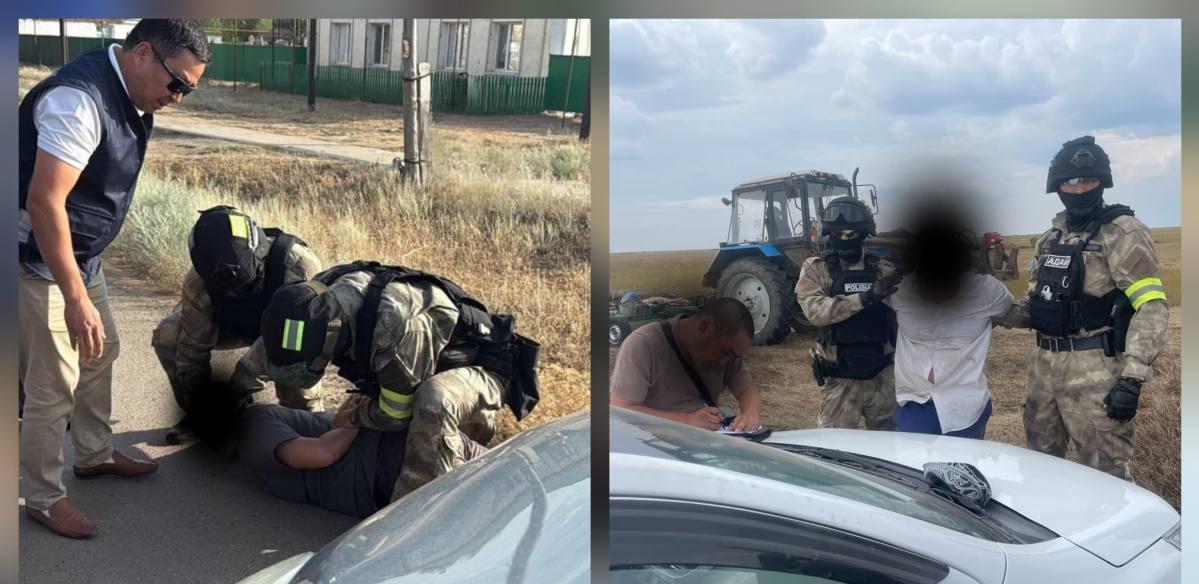 Серийных скотокрадов задержали в СКО