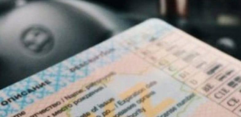 Схему с фальшивыми правами раскрыли в Туркестанской области