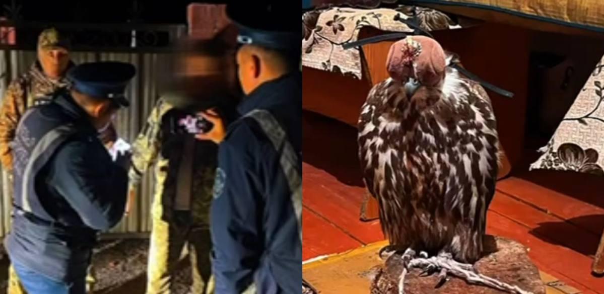 Диких птиц спасли от браконьеров в области Жетысу