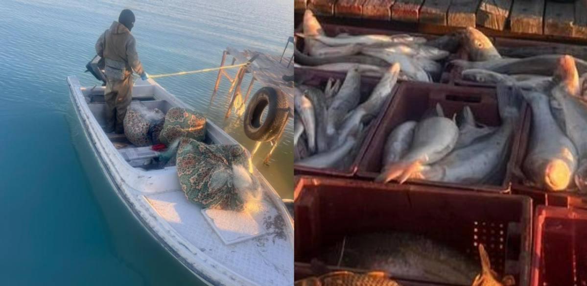 Браконьеров с крупным уловом задержали на озере Балхаш