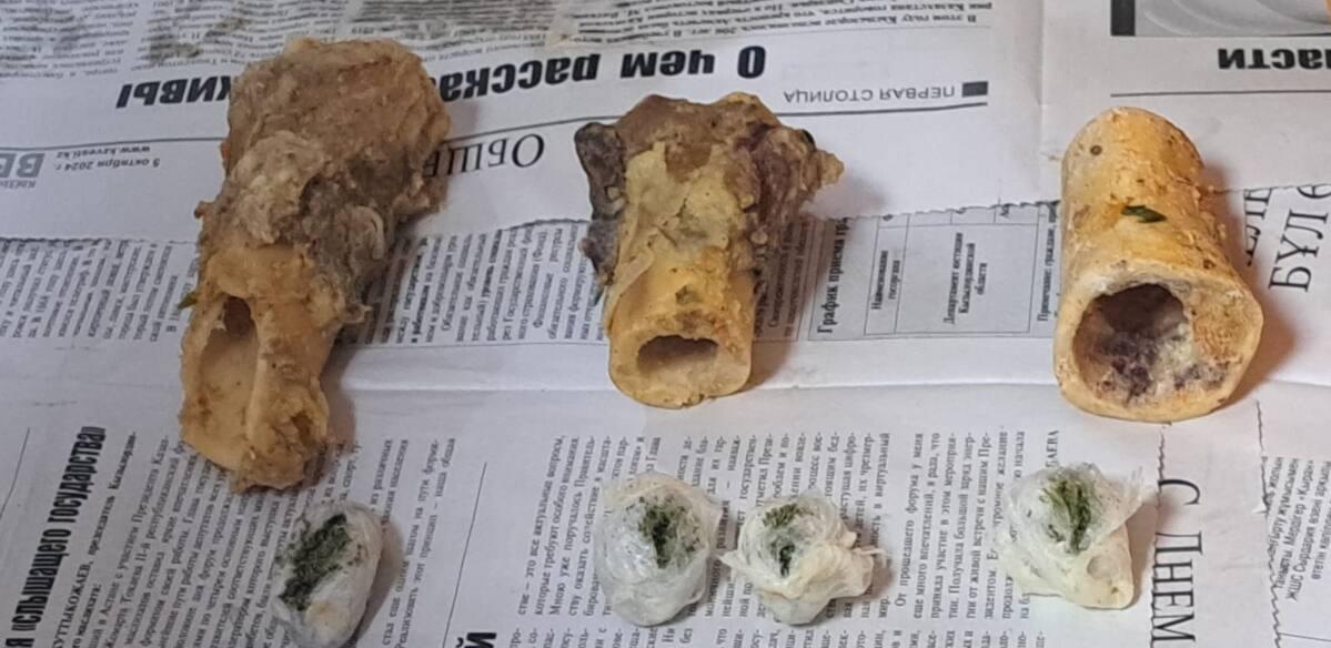 Спрятанные в костный мозг наркотики пытались передать в колонию Кызылорды