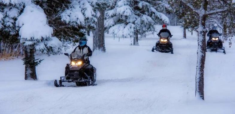 Пересекали границу на снегоходах: МВД раскрыло схемы 