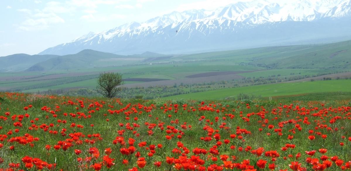 Особо охраняемые земли раздора