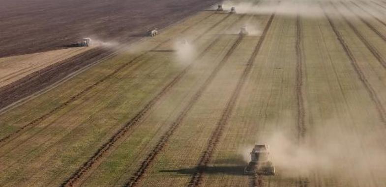 4,3 млн тонн зерна намолотили в Казахстане