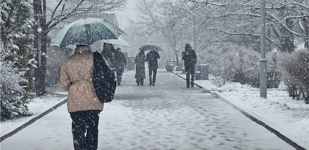 Половина месячной нормы снега выпала за ночь в Алматы 