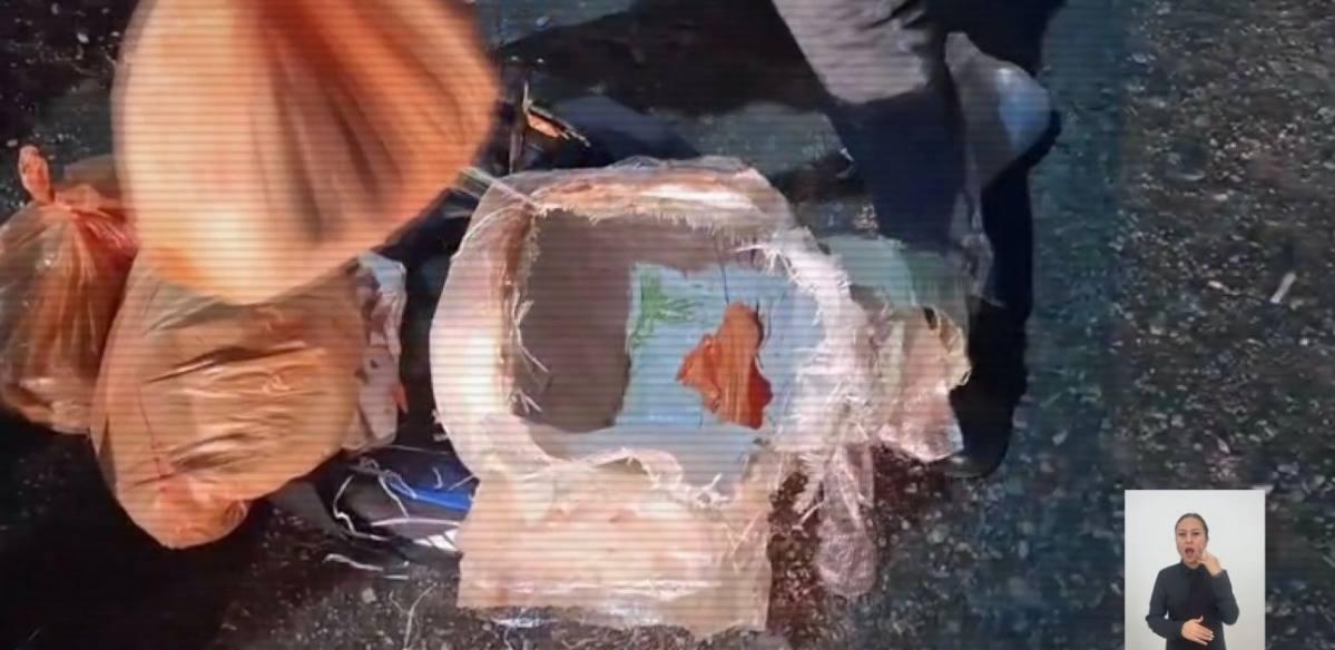 Собака сорвала крупную поставку гашиша в Казахстан