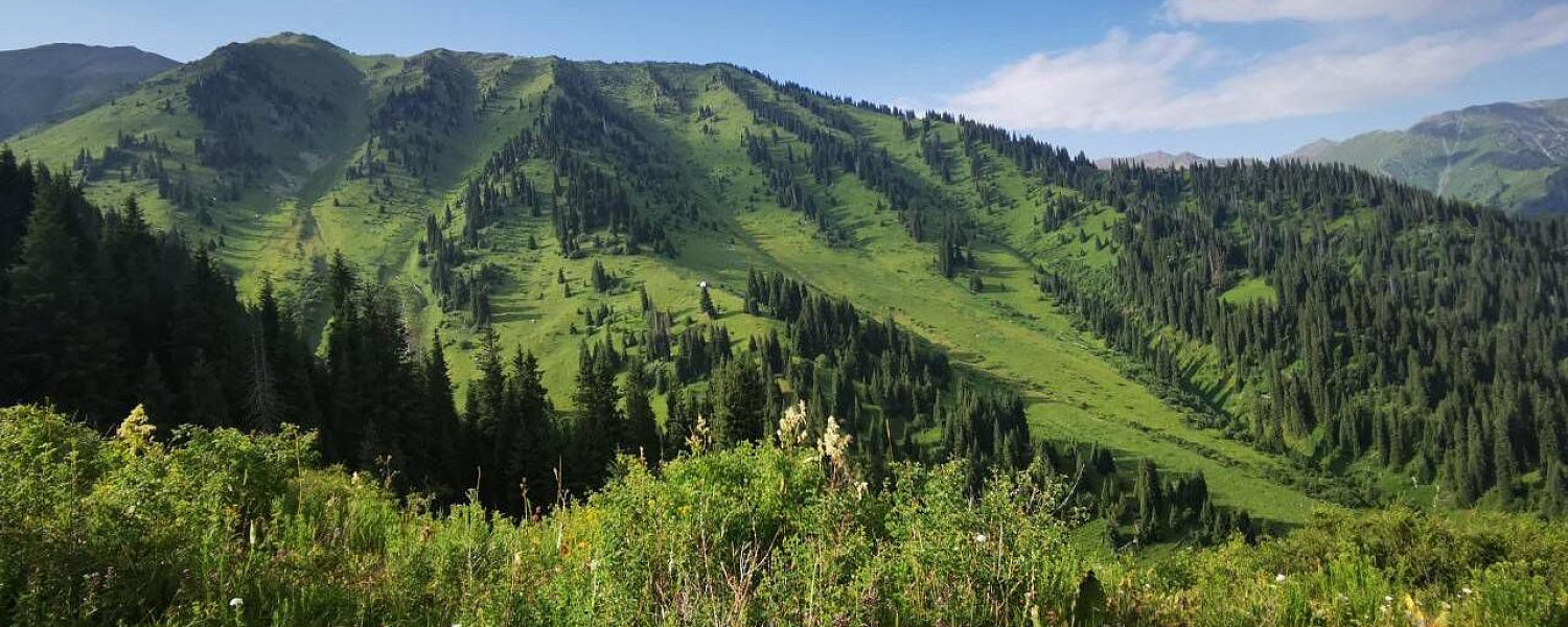 Земли Нацпарка вернули в Алматинской области