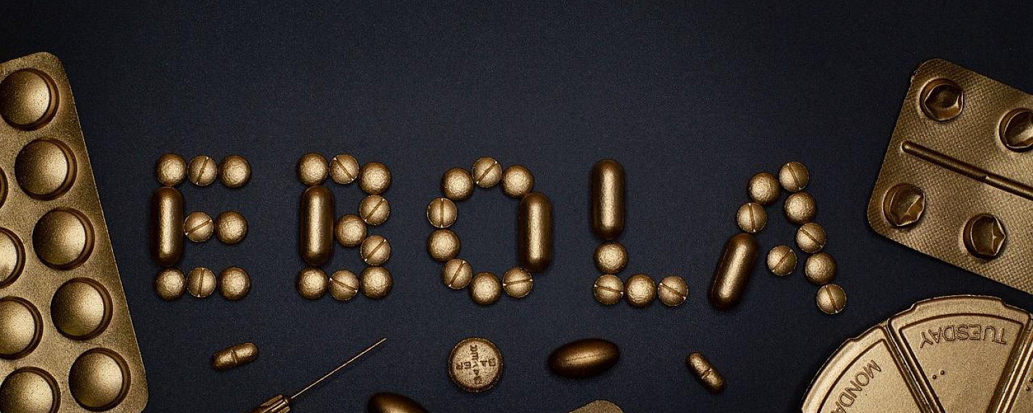 Вспышка лихорадки Эбола унесла жизни более 4000 человек