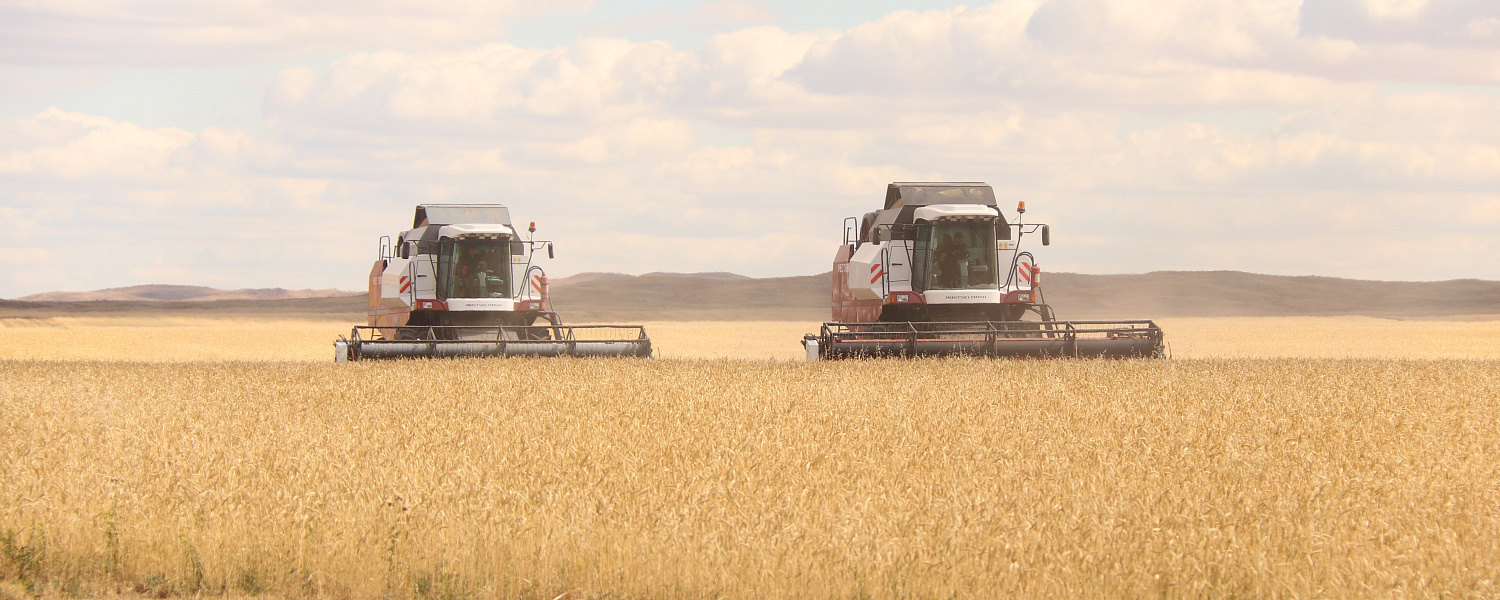Хлебоприемные пункты освободят для бесперебойной приемки зерна