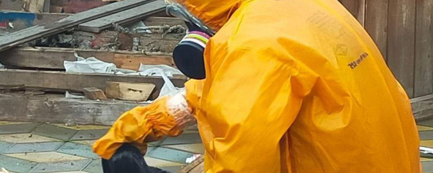 Осиное гнездо обнаружили на детской площадке в Астане 