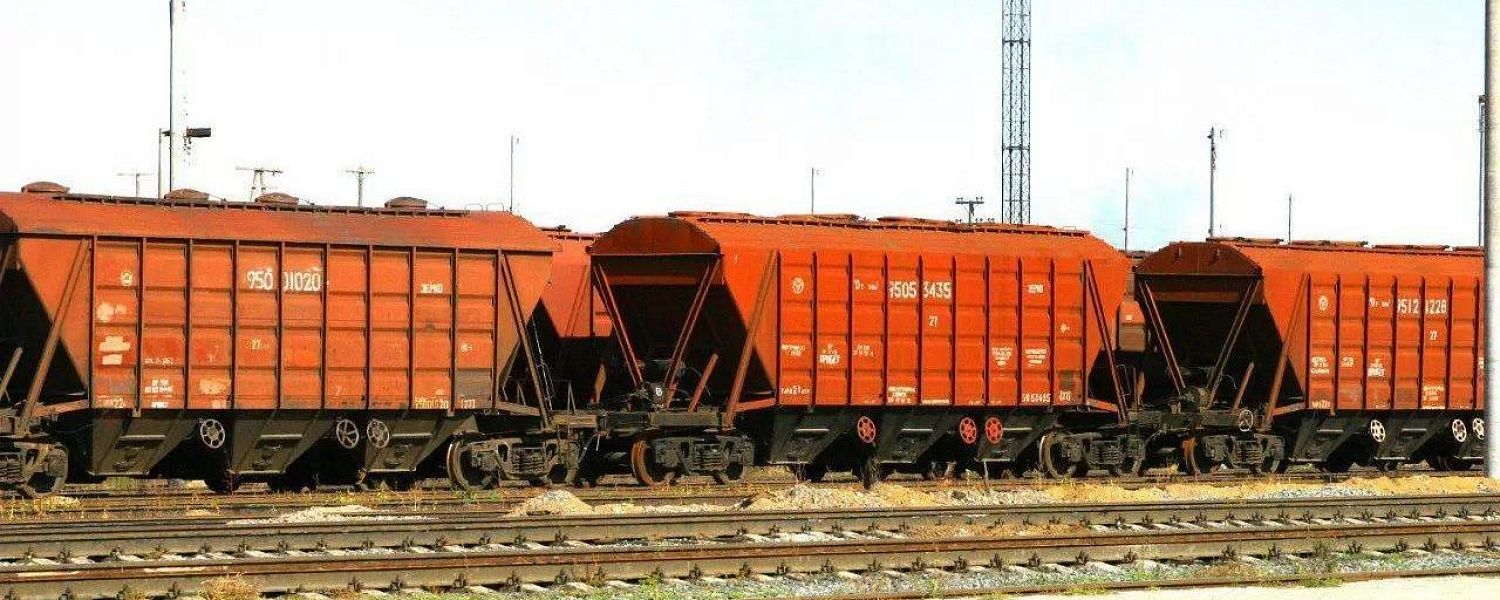 Экспорт зерна нового урожая вырос в Казахстане на 58,1%