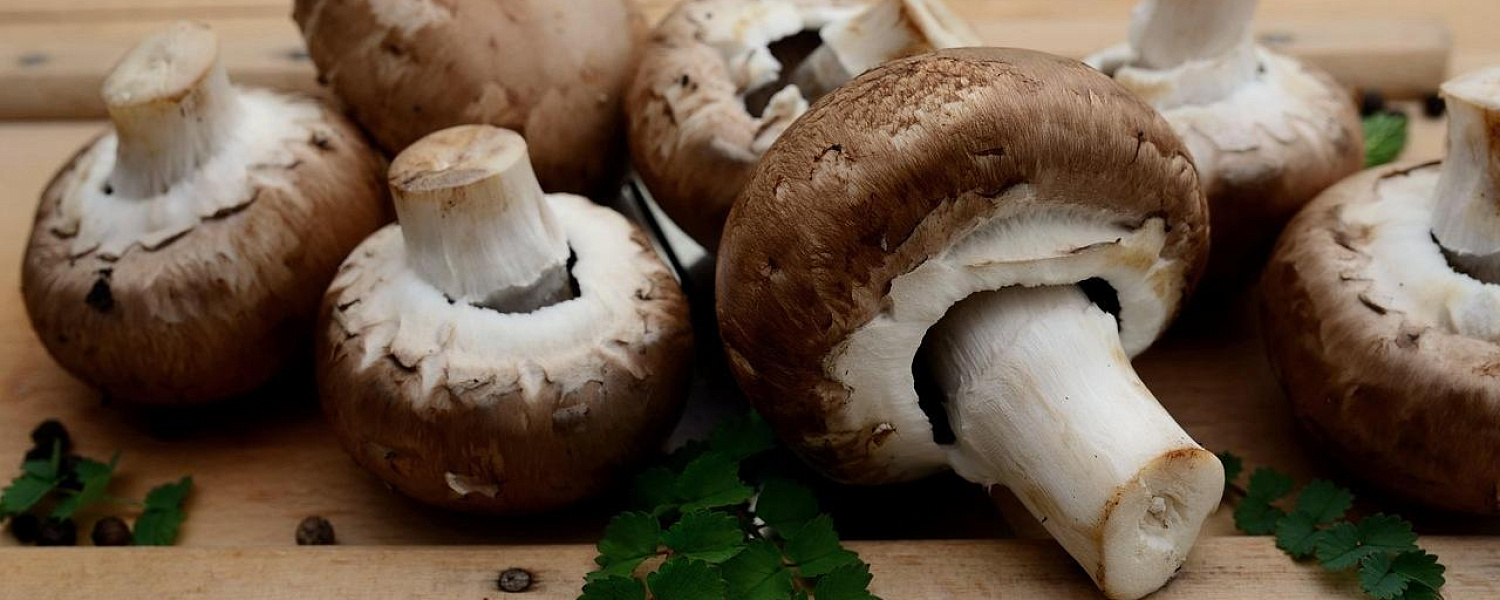 Назван неожиданный продукт с омолаживающим эффектом