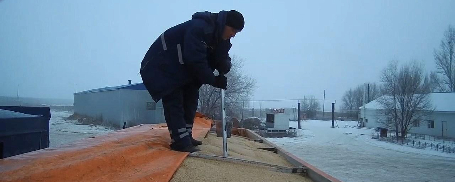Зерно на 11,2 млрд теңге: АФМ выявило схему незаконного экспорта