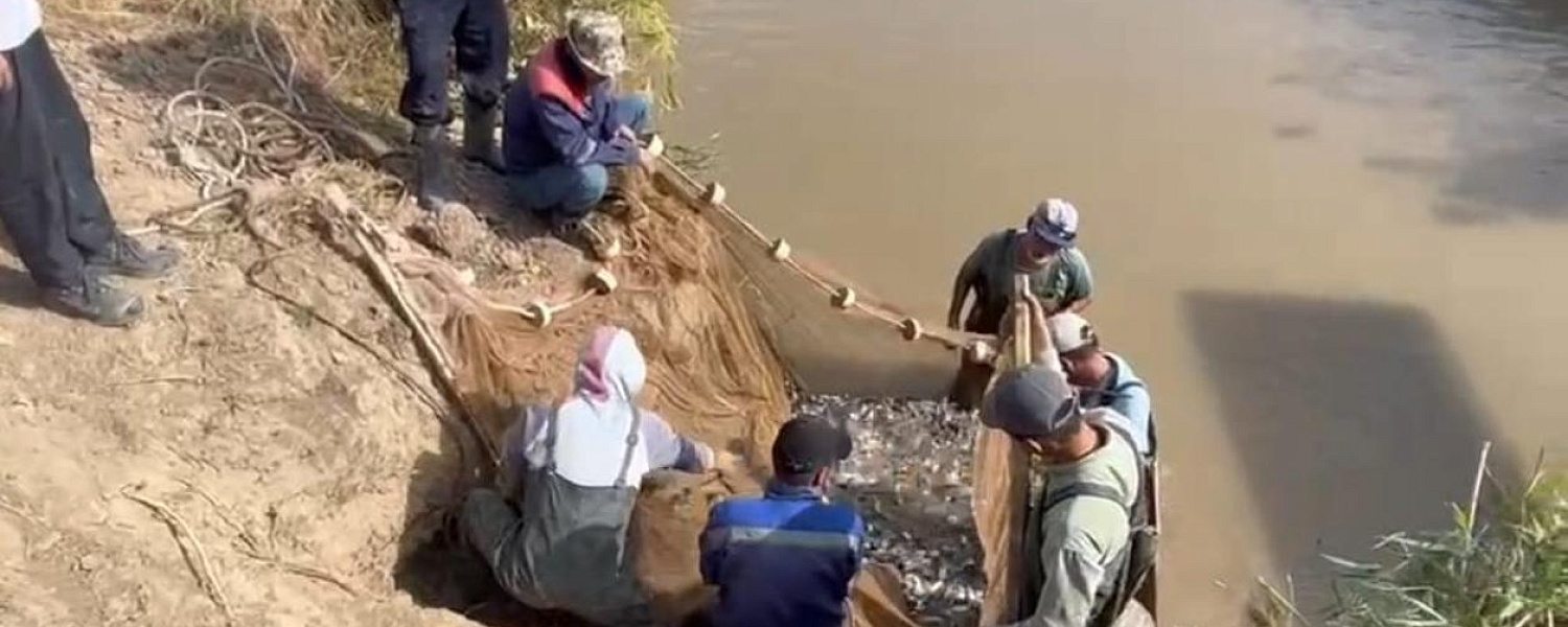 В Казахстане хотят продлить запрет на экспорт судака и сома