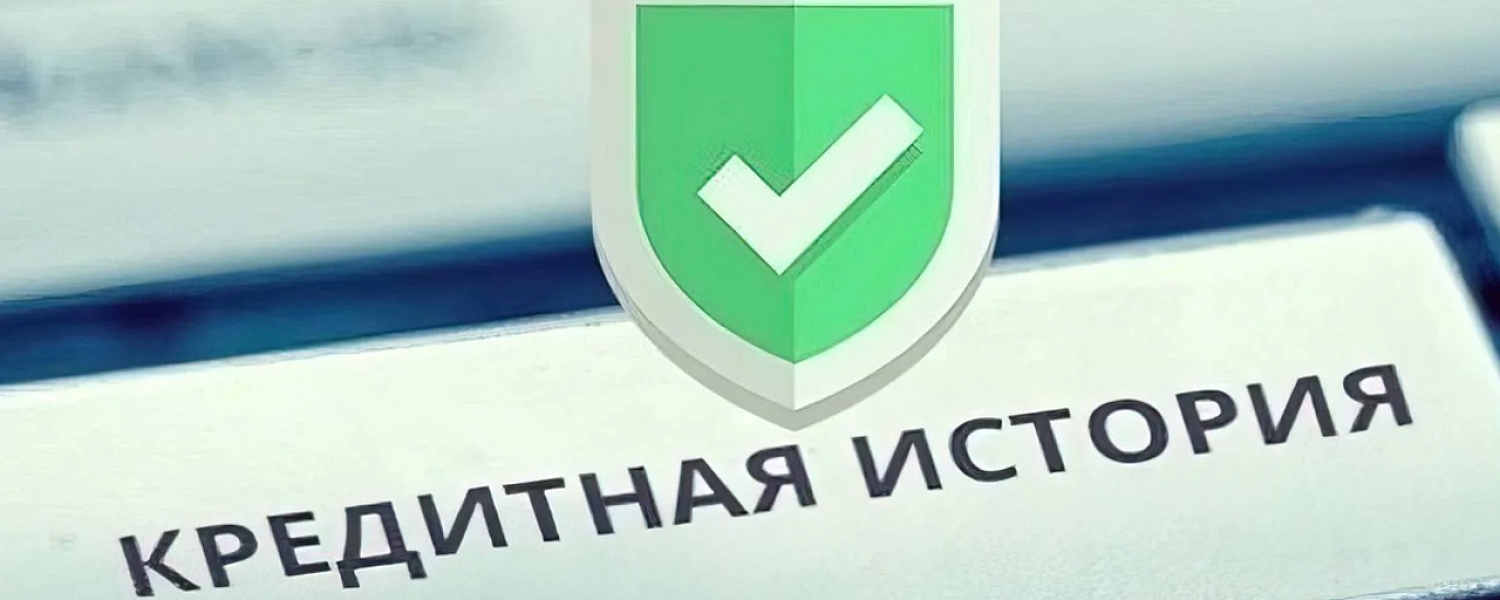 Казахстанцы могут проверить свою кредитную и страховую историю в eGov Mobile