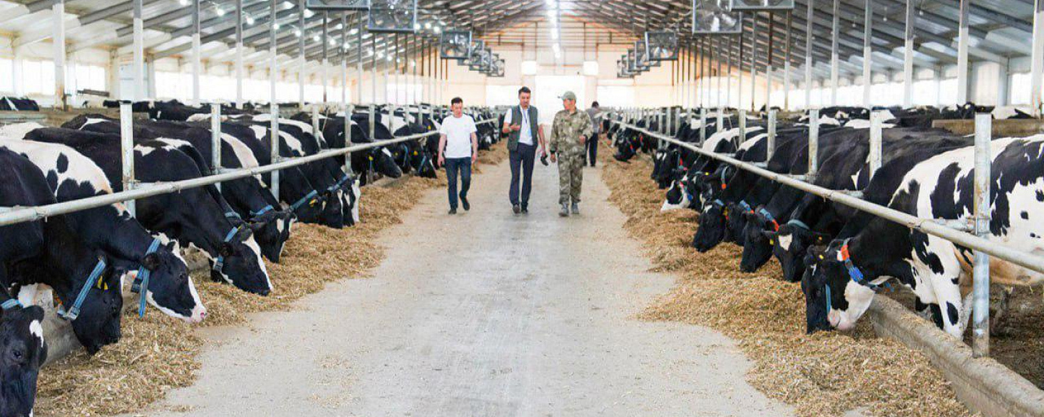 В Казахстане зафиксирован рост производства продуктов питания