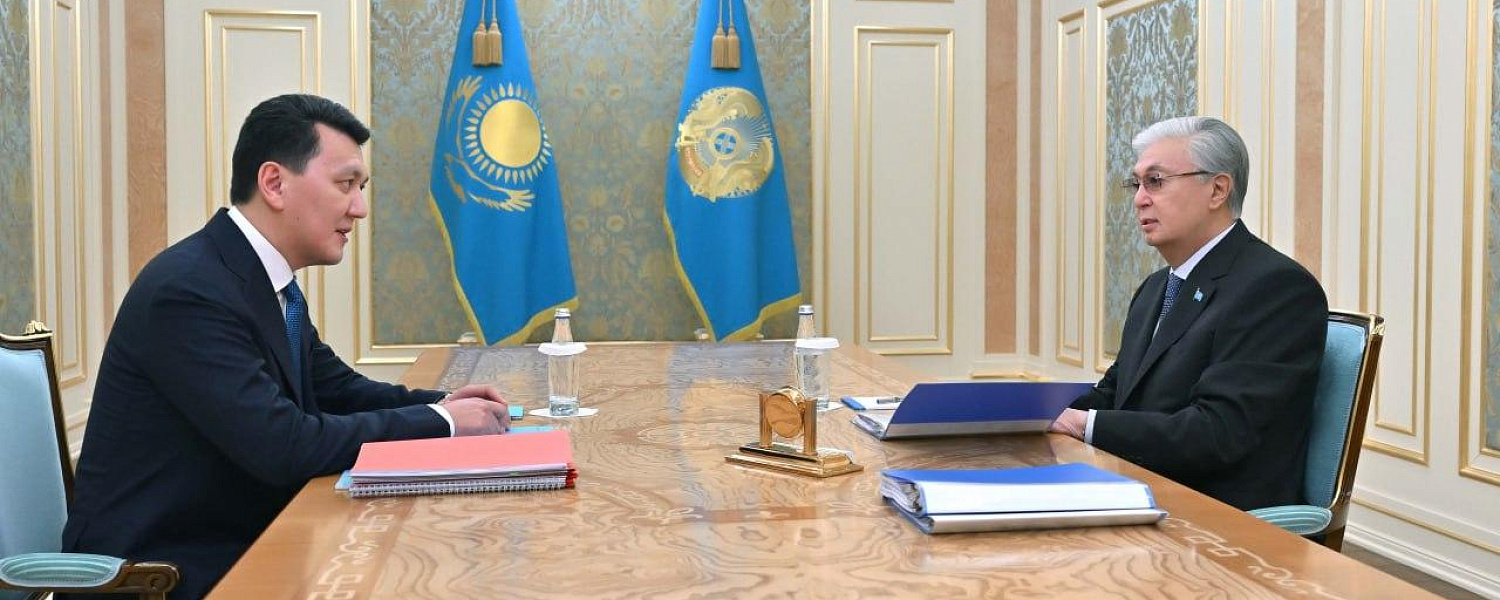 Карин отчитался Токаеву по парламентской реформе