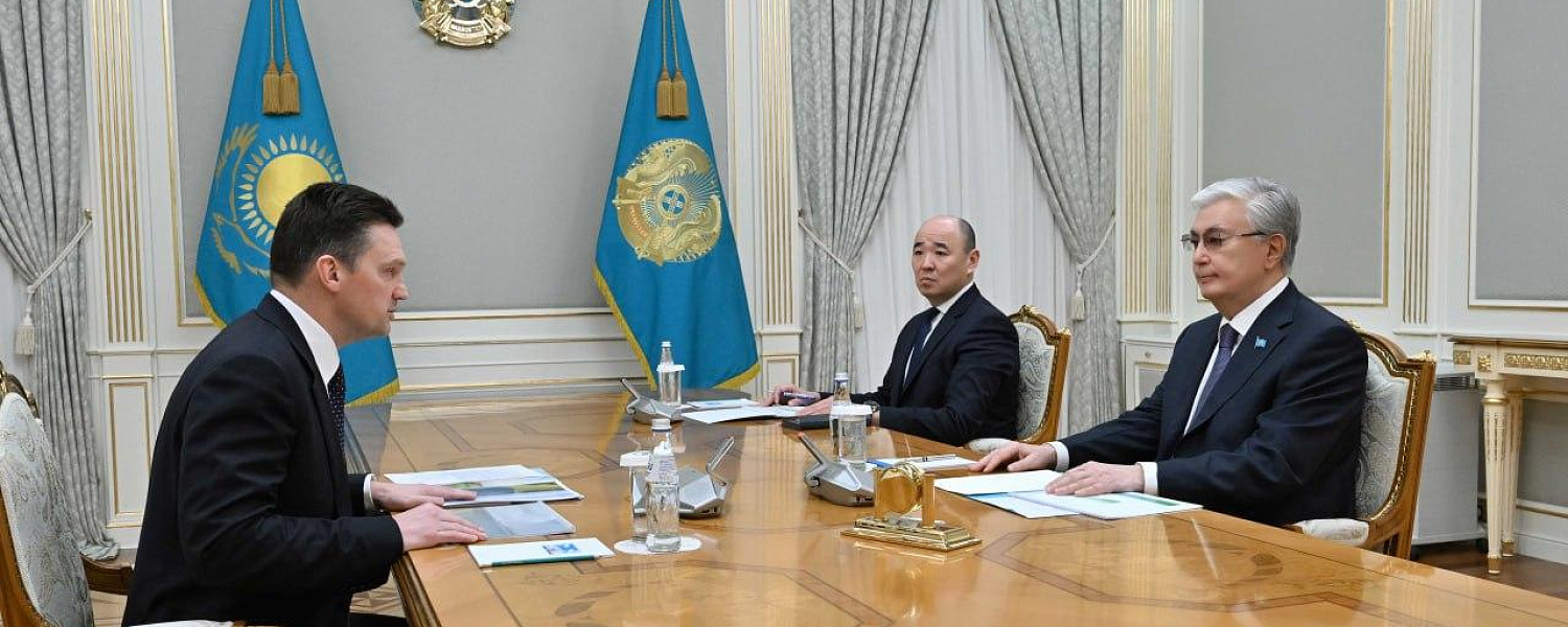 Токаев принял главу Евразийского банка развития