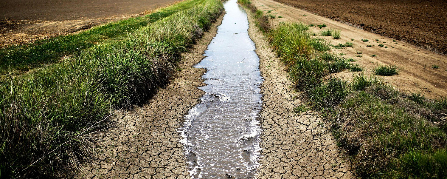 Казахстан получит в два раза меньше воды, чем было обещано