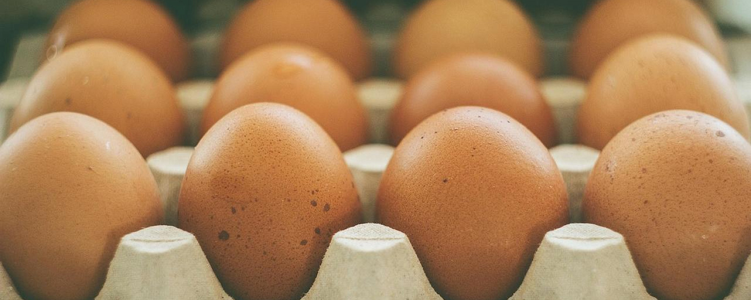 Запрет на ввоз куриных яиц из России нарушается систематически