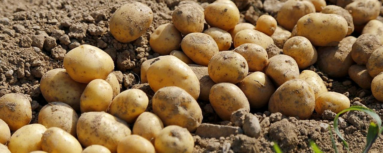 Минторговли ответило на рост цен на продукты в Казахстане