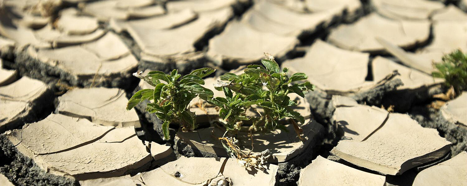 Ученые предсказали наступление адского климата на Земле