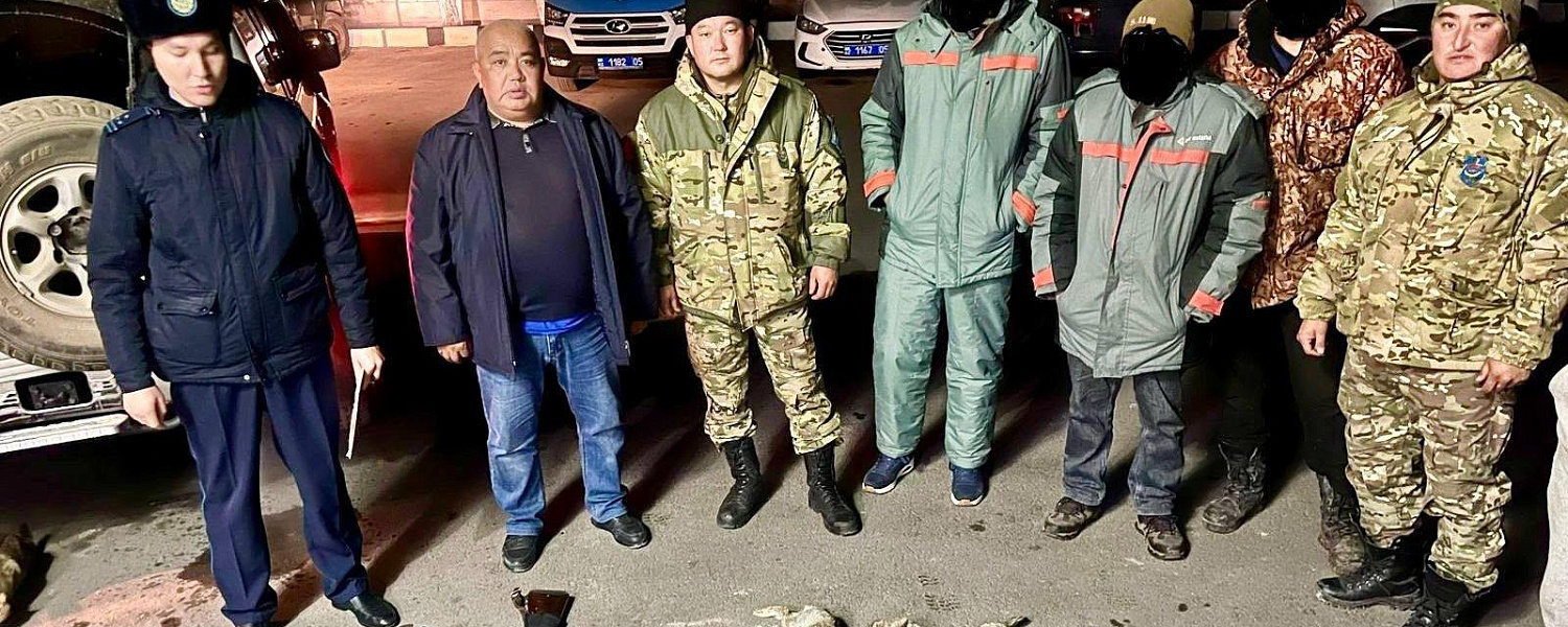 Алматинцам грозит до 6 лет тюрьмы за отстрел зайцев