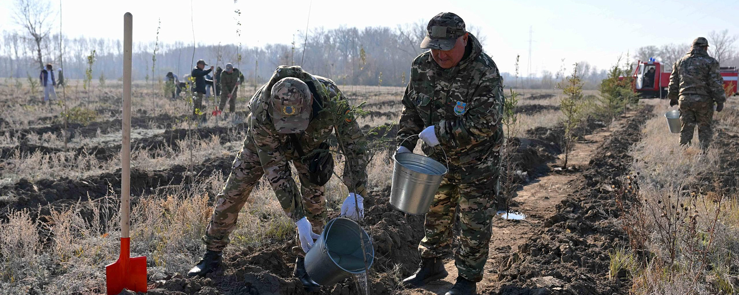 В Семее открылся лесной питомник